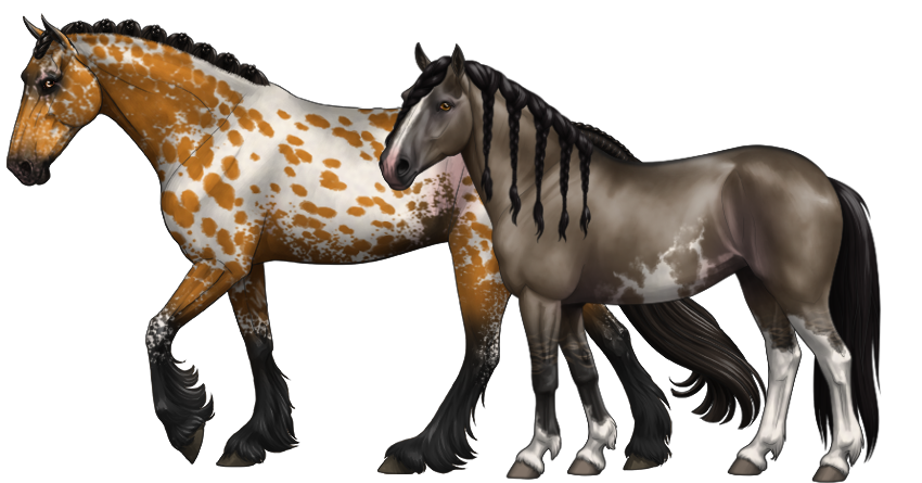Community horses